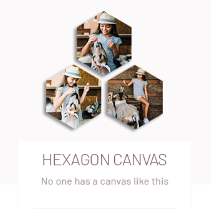 Hexagon Canvas Prints