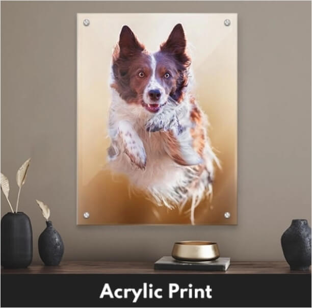 Custom Canvas Pet Prints