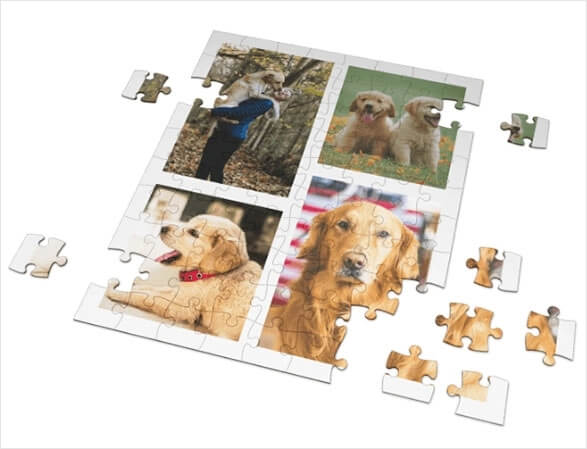 Create a Photo Puzzle with a Collage of Pictures