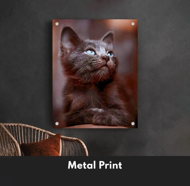 Custom Pet Prints