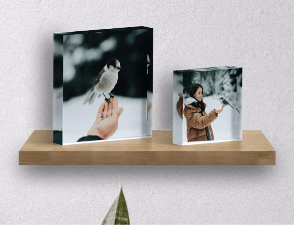 Custom Pet Acrylic Photo Blocks Make Amazing Gifts