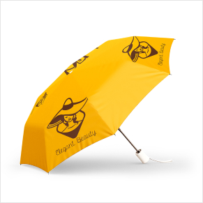 Custom Logo Umbrellas For Women’s Day